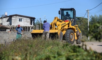 LOS CORRALONES MUNICIPALES AVANZAN EN LA RECOLECCIN DE RESTOS DE PODA