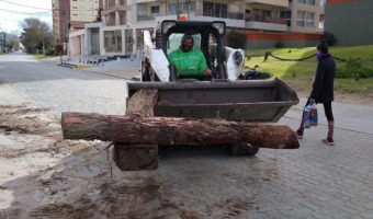 RECONSTRUCCIN DE SENDERO EN EL PIPACH