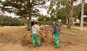 EL VIVERO MUNICIPAL REALIZ TAREAS EN LA FUTURA PLAZA AERBICA