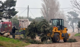 CONTINA EL CRONOGRAMA DE RECOLECCIN DE RESTOS DE PODA