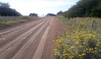 EL CORRALN SUR CONTINA CON EL MANTENIMIENTO DE ESPACIOS PBLICOS