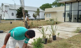 EL VIVERO TAMBIN TRABAJA PARA LA FINALIZACIN DEL CENTRO DE SALUD SUR