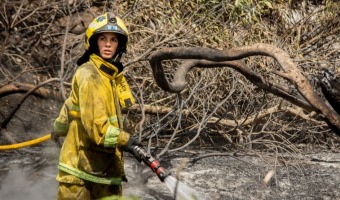 SE CRE EL PROGRAMA DE PREVENCIN DE INCENDIOS INTERFASE