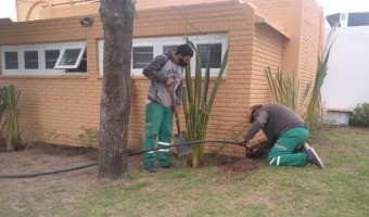 VIVERO REALIZ TRABAJOS DE MANTENIMIENTO EN EL HOSPITAL