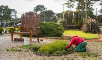 VIVERO TRABAJA EN LA IMAGEN DE ESPACIOS PBLICOS Y EN LA PRODUCCIN DE PLANTAS