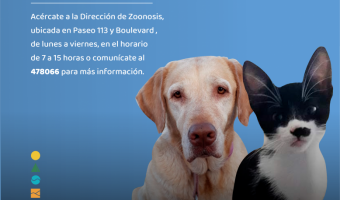 ZOONOSIS REALIZAR UNA JORNADA MASIVA DE VACUNAS ANTIRRBICAS JUNTO A VETERINARIOS DEL PARTIDO