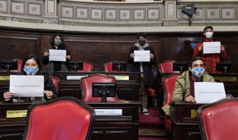 JVENES GESELINOS Y GESELINAS VISITARON LA LEGISLATURA