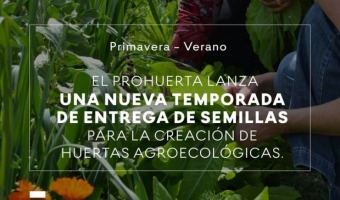 PRO-HUERTA: SE ACERCA UNA NUEVA ENTREGA DE SEMILLAS 🌸🌞