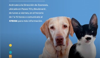 ZOONOSIS: HOY Y MAANA SE APLICARN VACUNAS ANTIRRBICAS EN MONTE RINCN