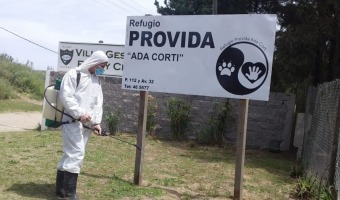 SE REALIZAN FUMIGACIONES PREVENTIVAS EN PROTECTORAS DE ANIMALES