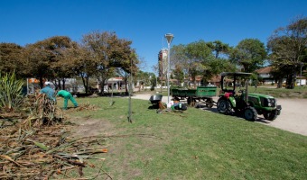 EL VIVERO COMENZ A REACONDICIONAR LA PLAZA CARLOS GESELL