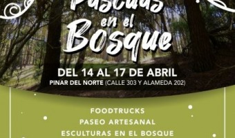 PASCUAS EN EL BOSQUE