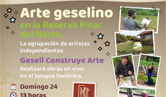 VACACIONES EN LOS MUSEOS: ARTE GESELINO EN LA RESERVA PINAR DEL NORTE