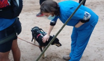 ZOONOSIS: MS DE 136 TRATAMIENTOS APLICADOS EN LA JORNADA DE MAR AZUL