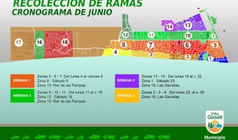 Cronograma de recoleccin de ramas durante junio