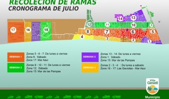 CRONOGRAMA DE RECOLECCIN DE RAMAS DURANTE JULIO