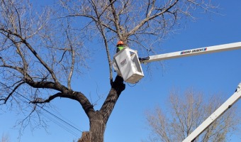 La Municipalidad contar con un camin hidrogra para poda