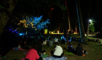 NOCHE DE YOGA EN EL BOSQUE FUNDACIONAL