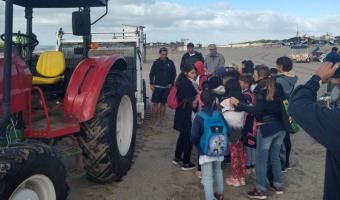 CON EL APORTE DE MAQUINARIA PESADA, SE LIMPIARON LAS PLAYAS DEL SUR