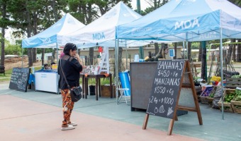 MERCADOS BONAERENSES VUELVE A MAR AZUL