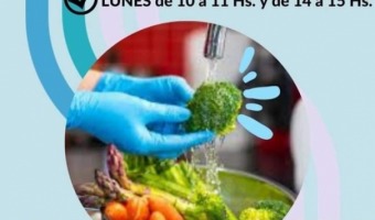 CURSO DE MANIPULACIN DE ALIMENTOS