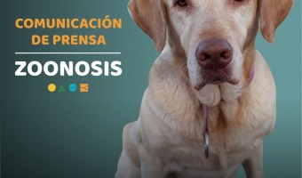 ZOONOSIS: CAMBIOS DE HORARIO PARA EL LUNES 7