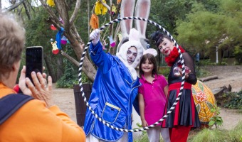 LA SEGUNDA FECHA DE PASCUAS EN EL BOSQUE FUE TODO UN XITO