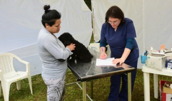 ZOONOSIS ATENDI MS DE 100 MASCOTAS EN LA JORNADA DE MAR AZUL