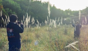 CASA DE LA CULTURA DE MAR AZUL: EL TALLER DE FOTOGRAFA DISFRUT DE UNA JORNADA DIFERENTE