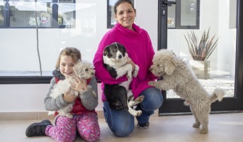 ZOONOSIS LANZA UN CENSO CASA POR CASA PARA ABORDAR LA PROBLEMTICA DE PERROS Y GATOS