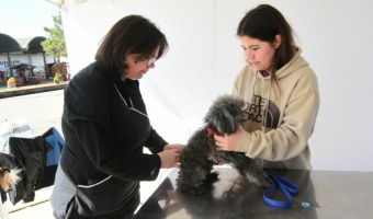 SIGUEN LAS JORNADAS DE ATENCIN VETERINARIA GRATUITA