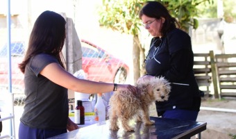 ZOONOSIS REALIZ UNA NUEVA JORNADA DE ATENCIN VETERINARIA EN BARRIOS