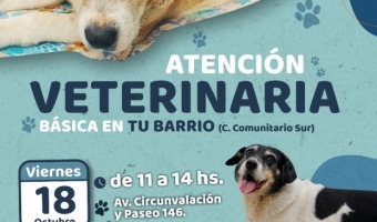 ZOONOSIS REALIZAR UNA JORNADA DE ATENCIN EN EL CENTRO COMUNITARIO SUR